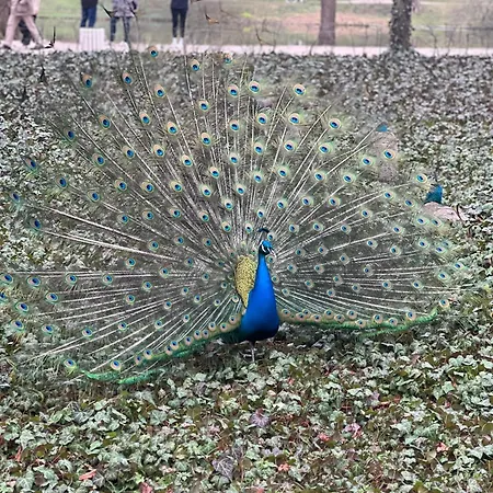 דירה K22 Park Lazienki Aparts In